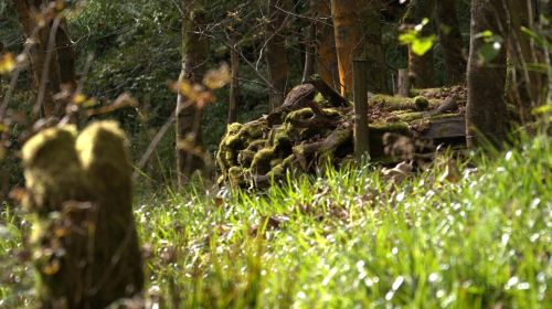 National Trust - Hardcastle Crags