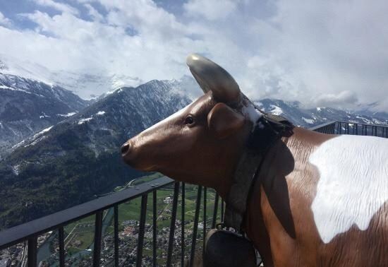 Harder Kulm