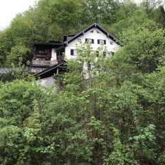 Gasthof Simony Restaurant am See User Photo