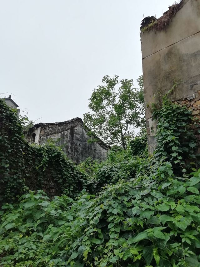 Shen'ao Ancient Town