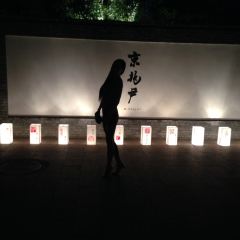 King's Joy User Photo