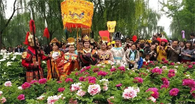 Beijing Peony Viewing