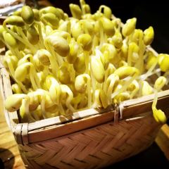 巴奴毛肚火锅(九洲店) User Photo