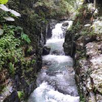 評論圖片 7