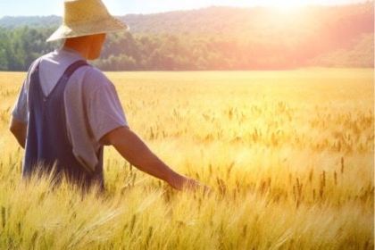 Xiaojiyuanguoqiao Rice Noodles