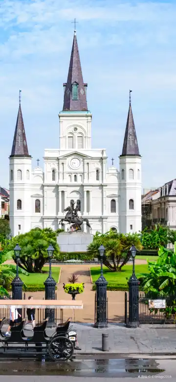 뉴올리언스 힐튼 가든 인 숙소