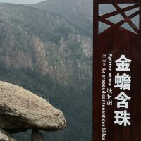 評論圖片 6
