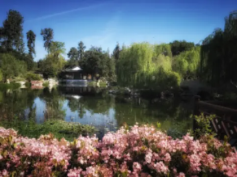 หอสมุดฮันตัน