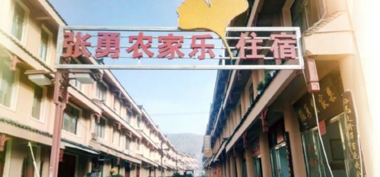 张勇农家乐