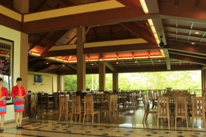 QI XIAN LING YU LIN XIAN JING JIU DIAN WANG WEI CAN TING