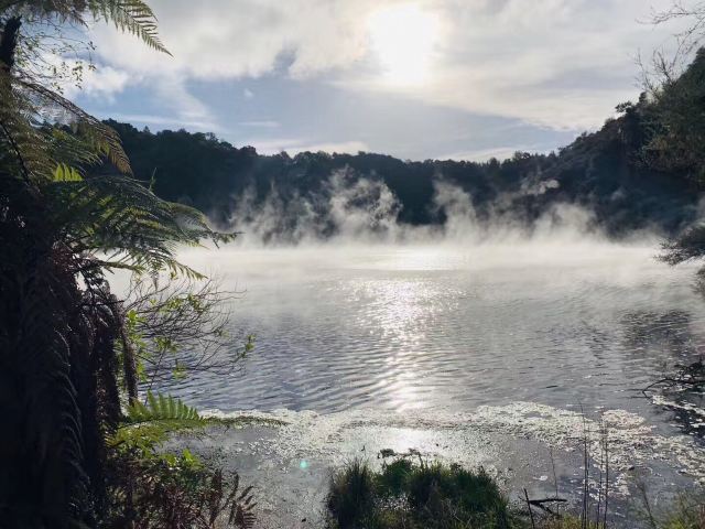 Waimangu Volcanic Valley