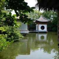 評論圖片 4