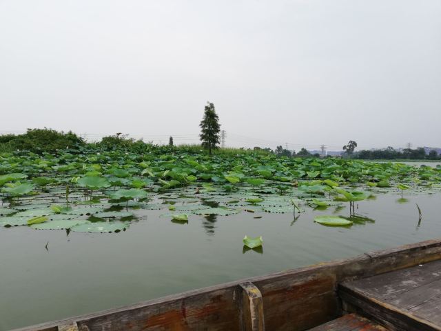 White Pagoda Park