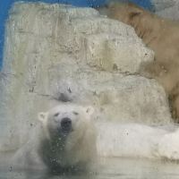 評論圖片 2