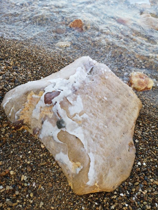 死海