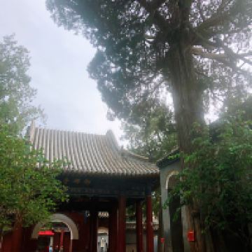 評論圖片 7