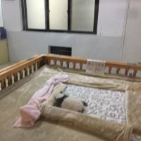 評論圖片 1