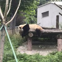 評論圖片 9