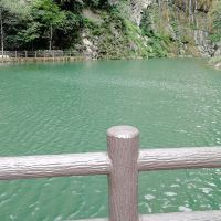 評論圖片 6