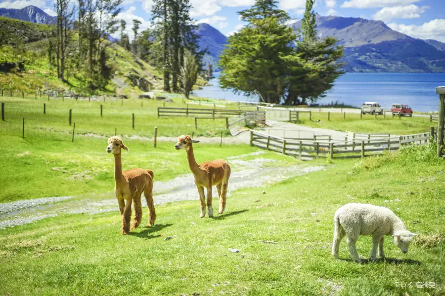 Walter Peak High Country Farm