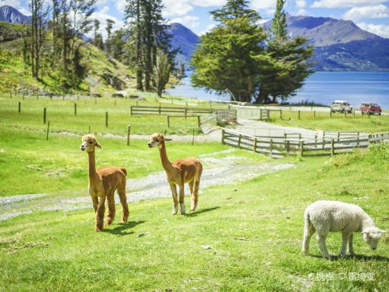 Walter Peak High Country Farm