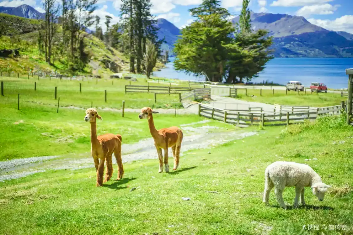 Hotels near Walter Peak High Country Farm - RealNZ