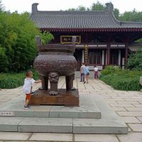 評論圖片 7