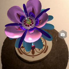 白兔餐廳張用戶圖片