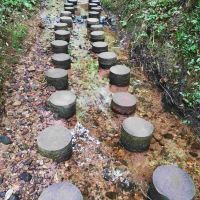 評論圖片 9