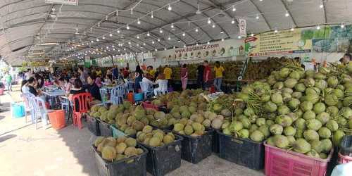 Durian SS2