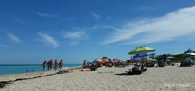 Top beaches to feel the sunshine in Miami beach  