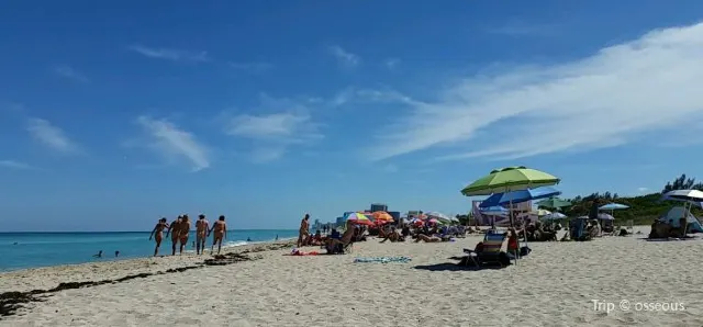 Top beaches to feel the sunshine in Miami beach