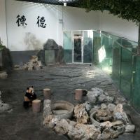 評論圖片 8