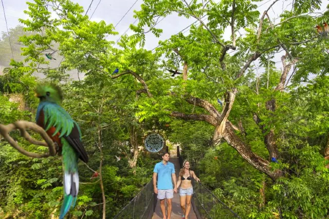 A Comprehensive Guide to Xcaret Cancun