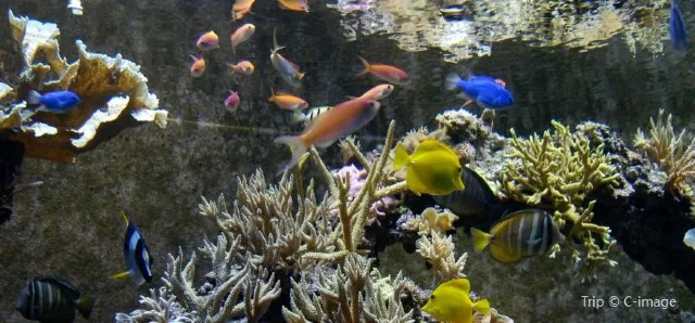 Spend Your Day at Seaworld Orlando