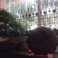 TaoRanXuan User Photo