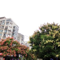 三九馄饨面条 여행 사진
