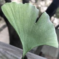 評論圖片 2
