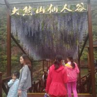 評論圖片 5