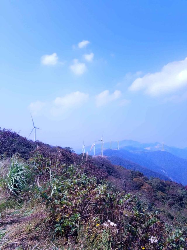 Daxiong Mountain National Forest Park