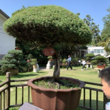 評論圖片 4