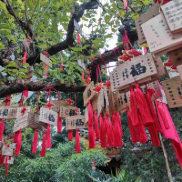 評論圖片 3