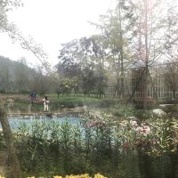 評論圖片 7