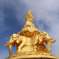 評論圖片 8