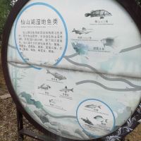 評論圖片 5