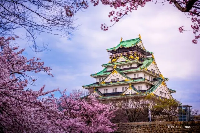 15 Fun Things To Do in Osaka