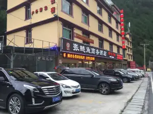张鲢鱼生态河鲜