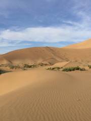 Gurbantunggut Desert