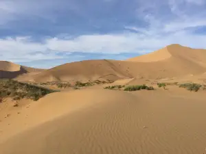 古爾班通古特沙漠
