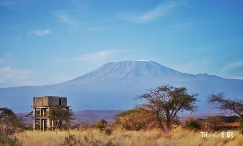 Mont Kilimandjaro